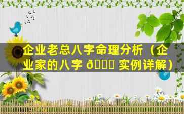 企业老总八字命理分析（企业家的八字 🐞 实例详解）